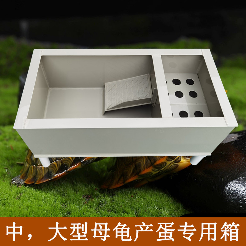 乌龟黄缘龟产蛋箱池缸中大型环保pp塑料长方形沙池专用可订定制做