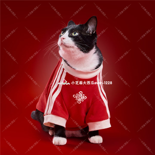 adidas三叶草正品舒适新年款宠物马年T恤狗狗猫咪纯棉衣服KZ4786