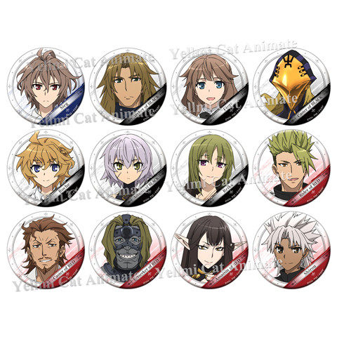 Fate/Apocrypha徽章FATE系列吧唧动漫胸章现货 齐格/H