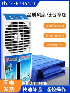 电制冷冰垫夏季 降温单人双人床垫冰垫水循环制空调扇冷水电子凉席
