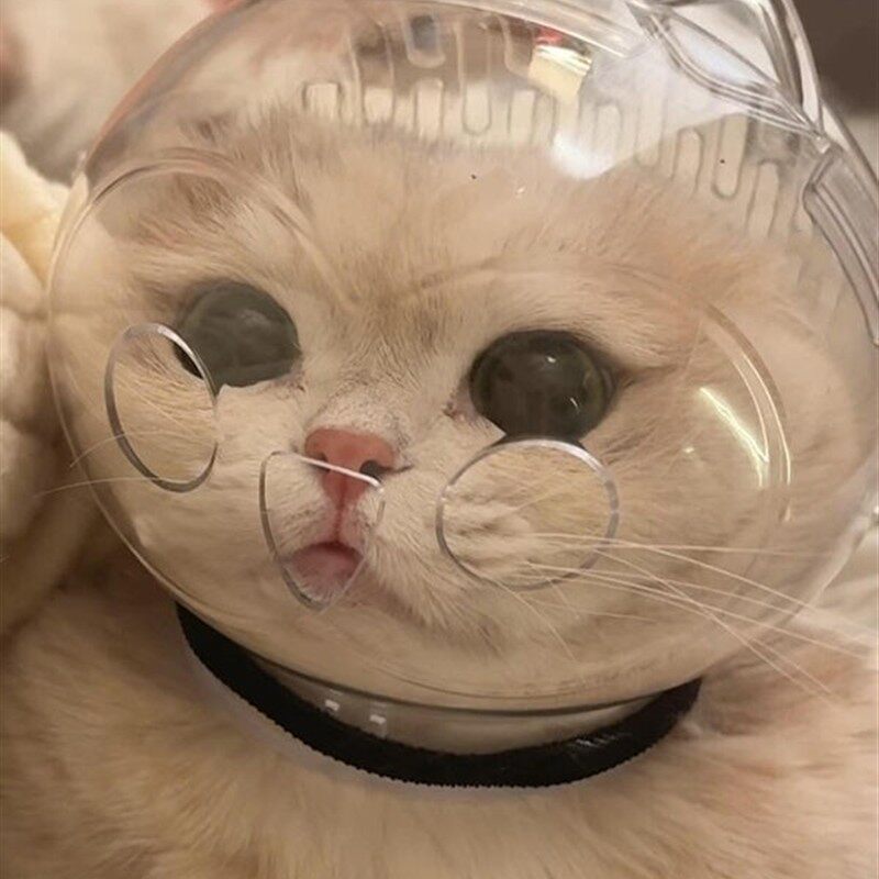 猫咪太空头罩防咬防舔绝育洗澡剪指甲防抓宠物嘴套猫头套伊丽莎白