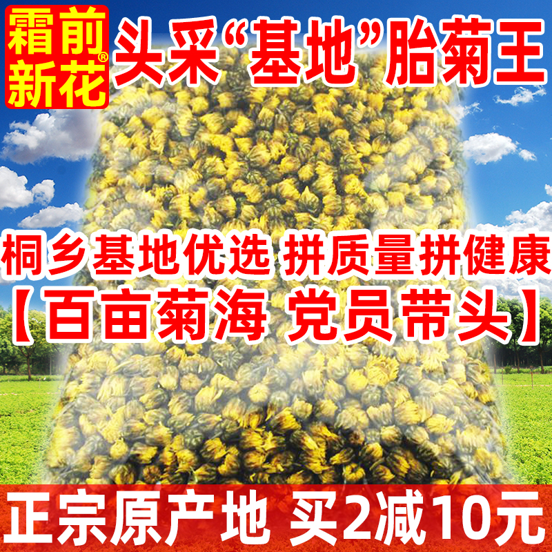 【基地优选】桐乡胎菊王250g头采