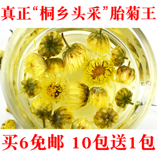 【免费真空】桐乡胎菊王 头采正宗杭白菊花蕾散装菊花茶50g小包装