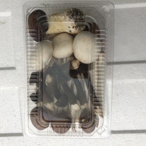 远东春生鲜新鲜菌类拼盘顺丰包邮