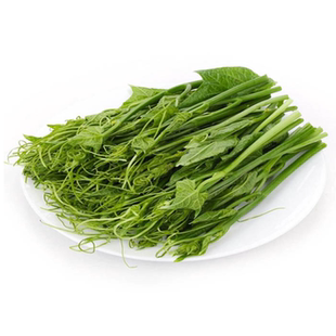 远东春生鲜 新鲜蔬菜 丝瓜尖 佛手瓜尖  京津冀满68包邮