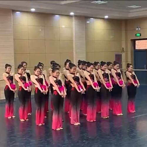 山西民间舞小花戏舞蹈演出服古典舞扇子舞秧歌服艺考专用表演服装
