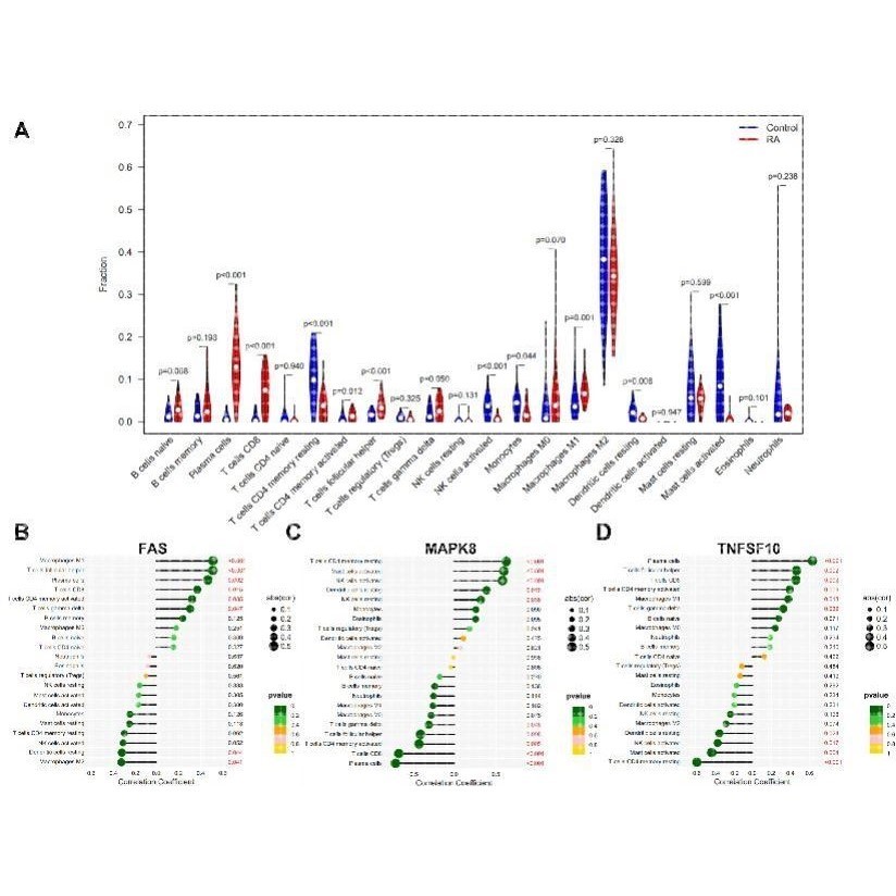 医学生信分析 单细胞测序生信3-5思路 TCGA数据库挖掘KEGG,GO分析
