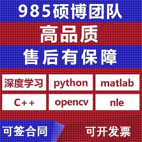 python代编程深度学习代码指导机器学习代码问题解决指导答疑复现