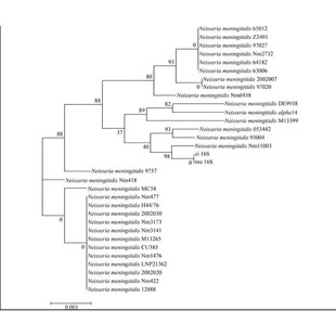 生信分析分子对接代做分子动力学模拟代算蛋白对接分子自组装分子