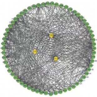 植物生物信息学分析GWAS转录组WGCNA代谢组等