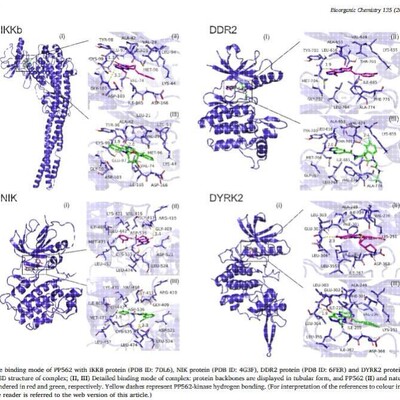 分子对接 共价对接 批量虚拟筛选 蛋白与蛋白 DNA/RNA-蛋白 柔性