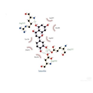 分子对接二维三维可视化作图