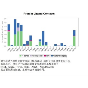 蛋白 分子动力学服务 分子动力学模拟 分子动力学计算