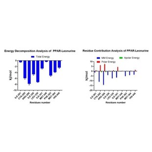 分子对接 分子动力学模拟 MMGBSA结合自由能计算