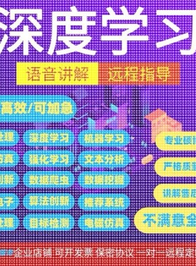 深度强化机器学习代码目标检测语义分割算法优化python图像处理
