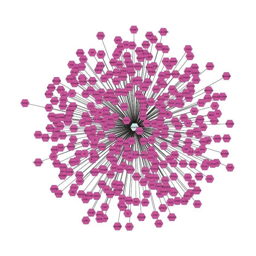 单细胞测序原始数据处理 Cell Ranger流程 质控报告