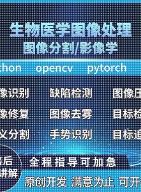Python代编程医学图像分割视觉深度学习语义分割目标检测图像分类
