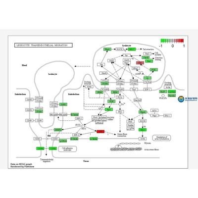 TCGA GEO数据库挖掘生信分析服务孟德尔随机化转录组分析