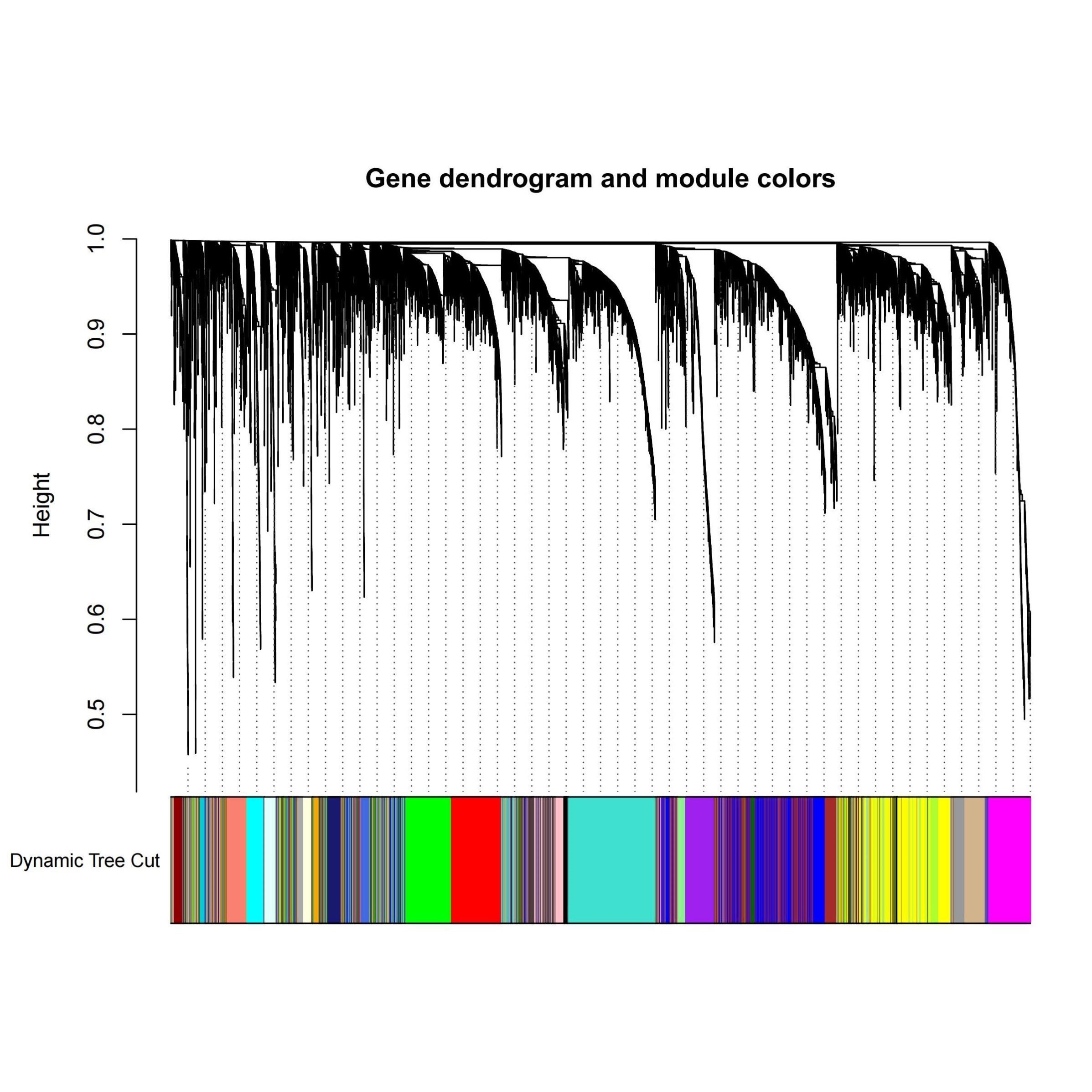 GEO和TCGA数据库多组别WGCNA分析，挖掘各组特征相关的模块基因。