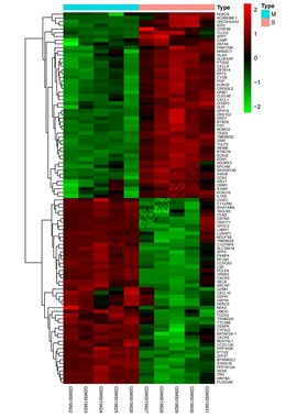 GEO,TCGA数据库挖掘,差异基因分析,火山图热图,网络药理学