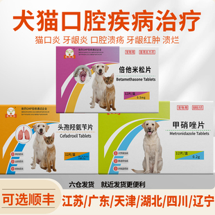喷剂 无忧犬甲硝唑片宠物狗狗猫咪口腔溃疡猫口炎牙龈炎泼尼松龙