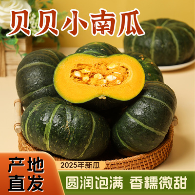 贝贝南瓜新鲜南瓜板栗味栗面粉糯