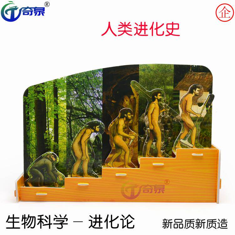 人类进化史3d拼图玩具科技小制作