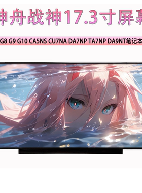 神舟战神G8 G9 G10 CA5NS CU7NA DA7NP TA7NP DA9NT笔记本屏幕