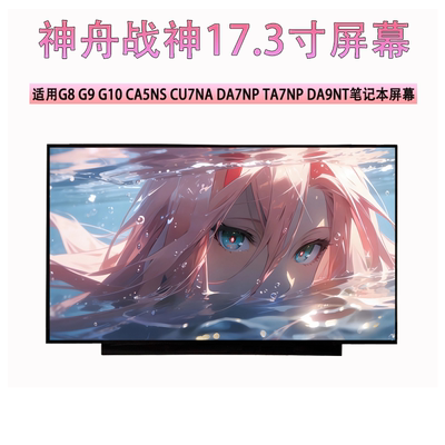 神舟战神G8 G9 G10 CA5NS CU7NA DA7NP TA7NP DA9NT笔记本屏幕