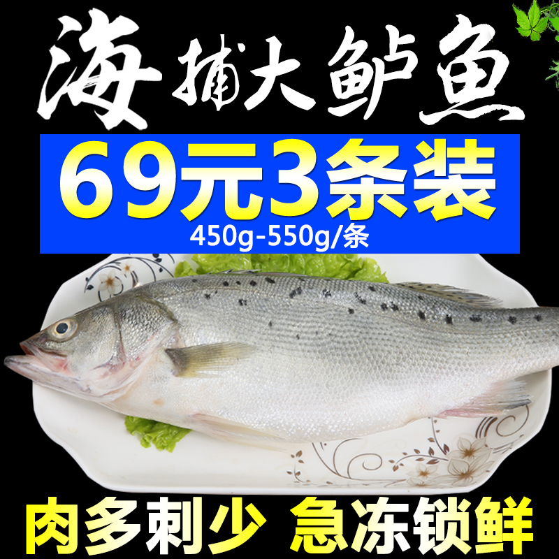海捕新鲜大鲈鱼花鲈鱼寨花鱼鲈板鱼海鱼鲜活冷冻海鲈鱼海鲜水产品