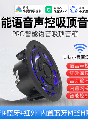 浪歌重音版Pro智能吸顶喇叭ai语音wifi蓝牙音响点歌小爱同学控制