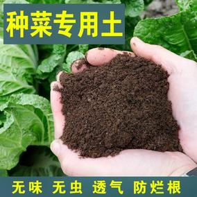 阳台种菜专用土有机肥土家用花泥种植土通用型黑土蔬菜营养土花土