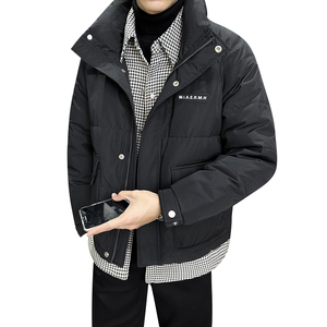社会轻奢新标90白鸭绒双领假两件羽绒服痞帅B297-Y319-P300图片