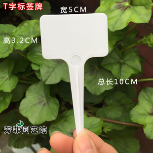 花卉多肉植物塑料一字T字小标签 播种品名标注强迫症记名字控