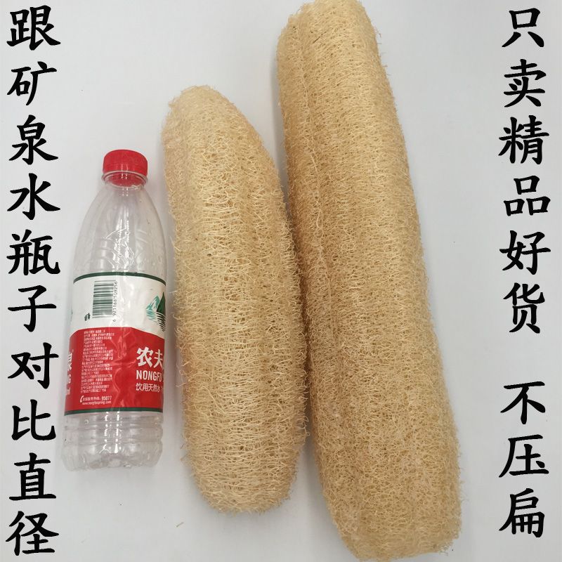 天然丝瓜络通络煮水带皮丝瓜瓤洗澡沐浴瓜囊带壳老丝瓜洗碗不漂白
