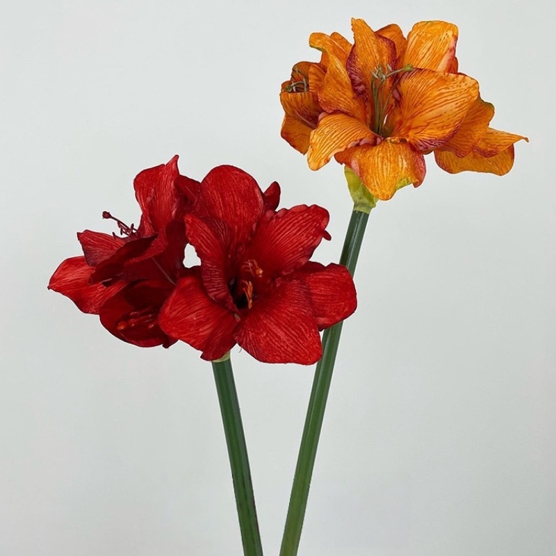 仿真高品质丝绒阿弗雷朱顶红