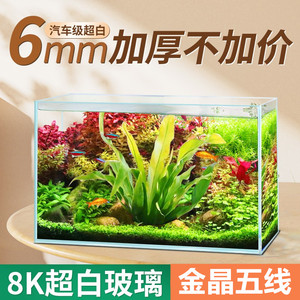 BESSN金晶五线超白鱼缸玻璃桌面小型客厅新款裸缸溪流缸生态草缸