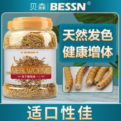 bessn面包虫干健康增体