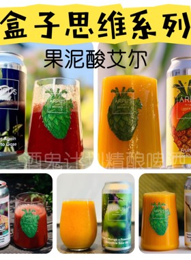 盒子思维啤酒 拉脱维亚进口我心本是果果果味果泥酸艾尔440ml啤酒