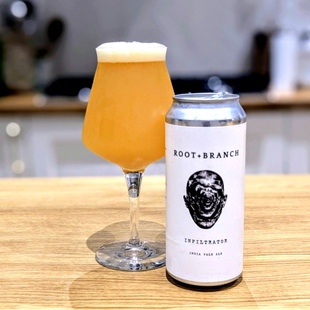 本末/哈德逊河谷/邪恶双子鱼厂果泥IPA啤酒生活与命运精酿473ml