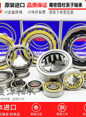 GAL进口轴承RN N NJ NU NF203 204 205 206 207 208 209 EM EW C3