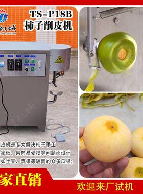 柿子削皮机硬柿子去皮设备水果削皮腾昇食品机械