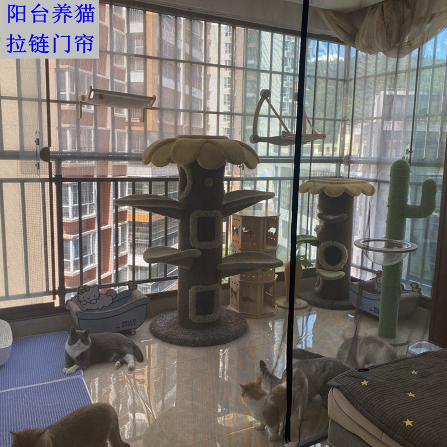 软隔断军工网阳台养猫神器防猫帘