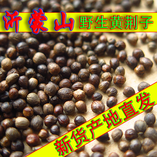 特级黄荆子填充物枕头