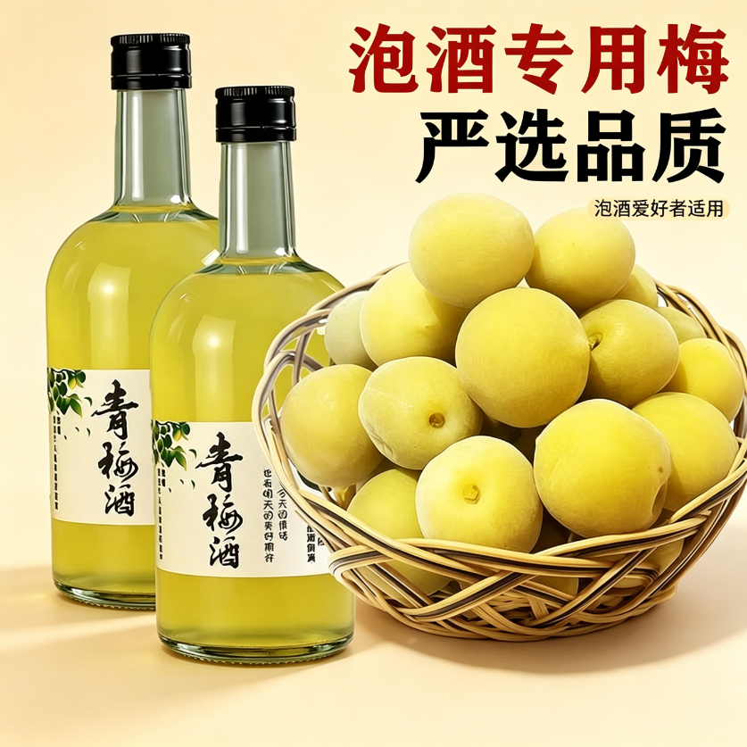 青梅泡酒专用现摘新鲜果腌制半成品网红款家庭果用休闲解馋酸甜省事解腻便捷无需处理果干蜜饯精选开胃小零食果脯方便冰糖泡制简单
