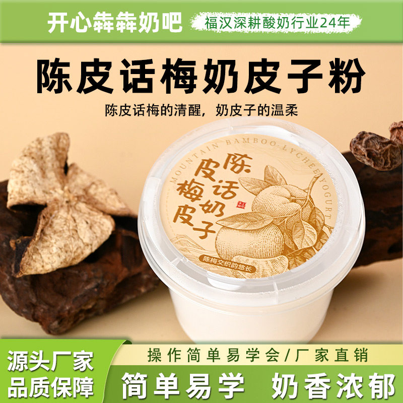 陈皮话梅奶皮子酸奶粉商用果味水果捞酸奶酪餐饮甜品酒店奶茶原料