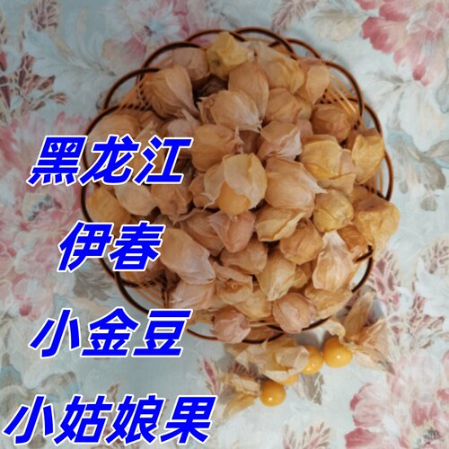 东北姑娘果小金豆新鲜当季水果