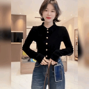 金丝绒法式黑色上衣高级感单排扣衬衫女长袖打底衫POLO领修身衬衣