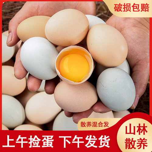 绿壳乌鸡蛋土鸡蛋农家散养整箱