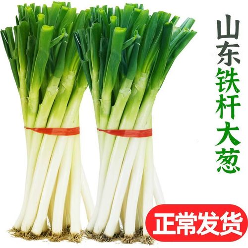 山东大葱去半页领券下单铁杆大葱